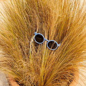 Детские солнцезащитные очки LIEWOOD "Darla Palms", синие